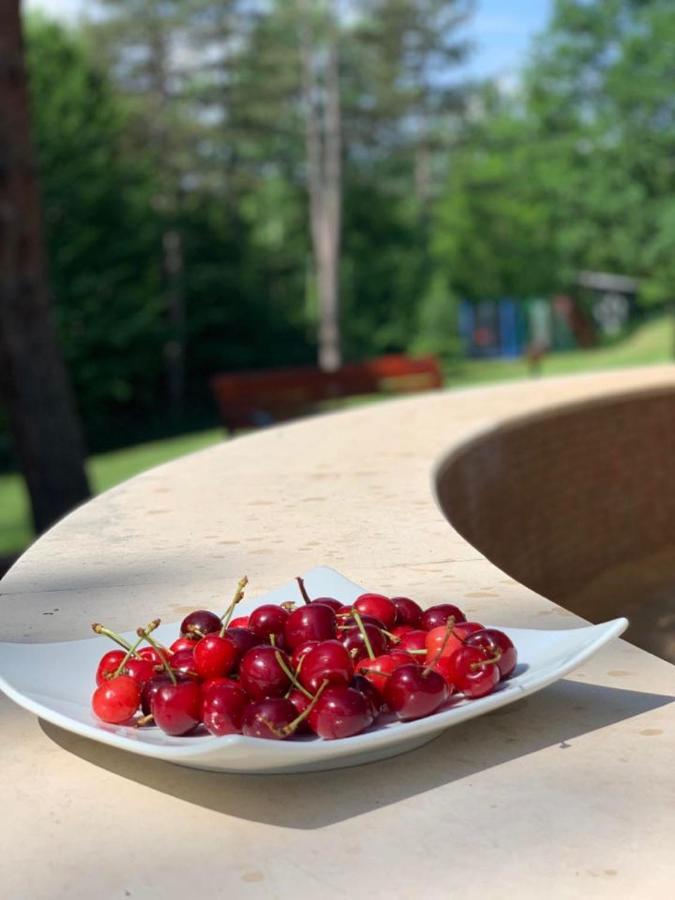 Hotel Velista Voneshta Voda Eksteriør bilde